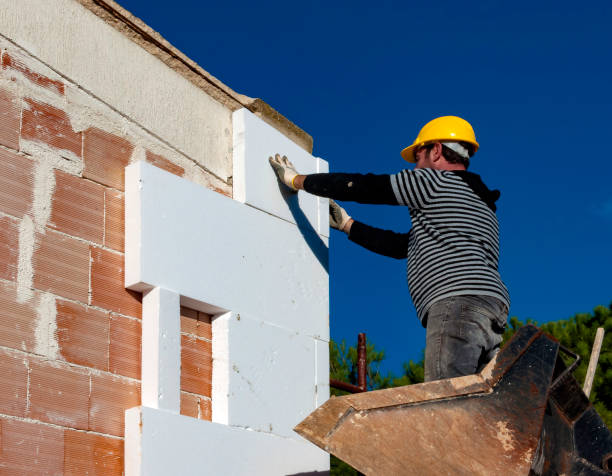 Best Residential Insulation Services  in Fairlea, WV