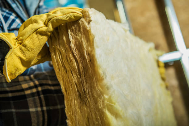 Best Garage Insulation Installation  in Fairlea, WV