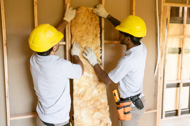 Best Insulation Repair Services  in Fairlea, WV
